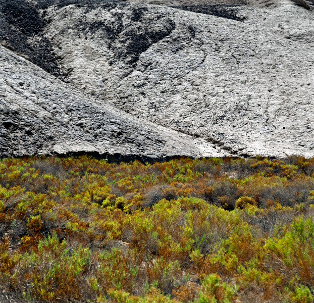 NAture-4V0C8142